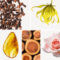 Preview: Duftnoten: Nelke, Yang-Ylang, Ambra, Zedernholz, Rose